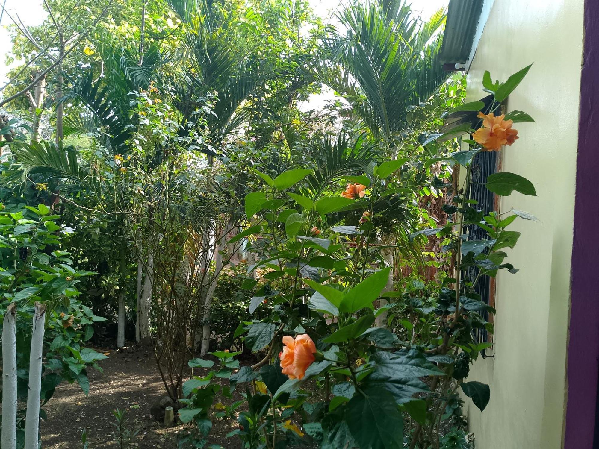 The Malinche Hostal Rivas Exterior foto